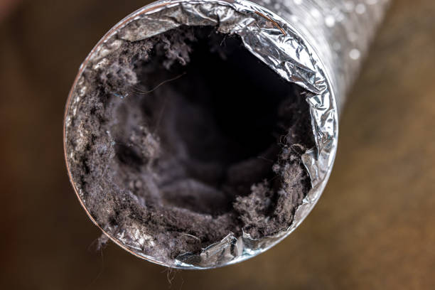 Best Air Duct Cleaning Near Me  in Olton, TX