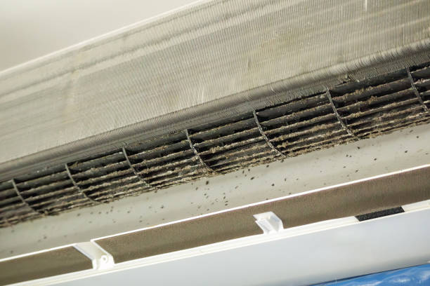 Best HVAC System Cleaning  in Olton, TX